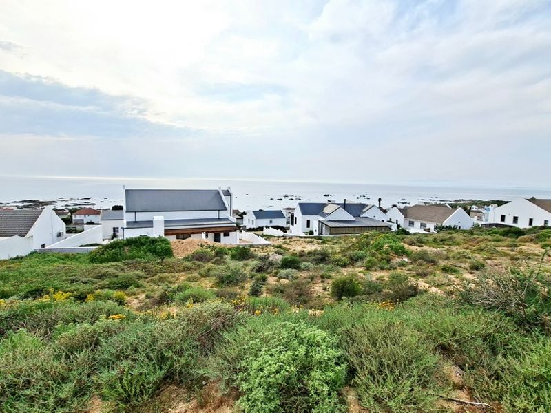A scenic elevated view overlooking a coastal residential neighborhood with direct ocean vistas and natural vegetation in the foreground.