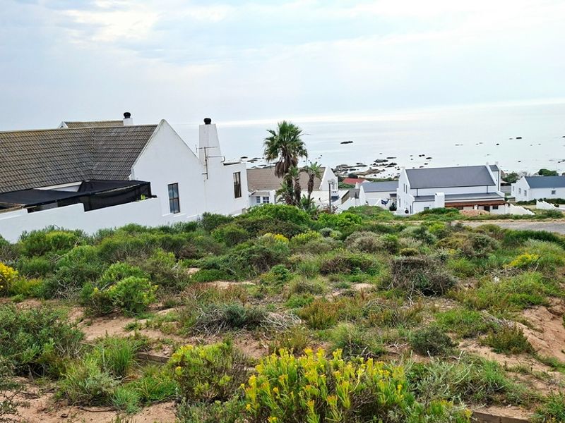 A scenic view overlooking a coastal residential area with natural vegetation in the foreground and the ocean in the distance.