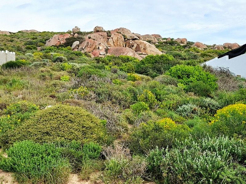 A sloped residential plot featuring natural rock formations, indigenous shrubbery, and existing boundary walls, offering a rugged landscape setting.