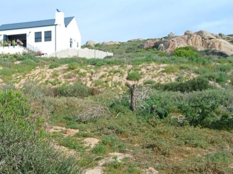 A view of the rear landscape featuring natural coastal vegetation, sand dunes, and rocky terrain with a residential building in the background.