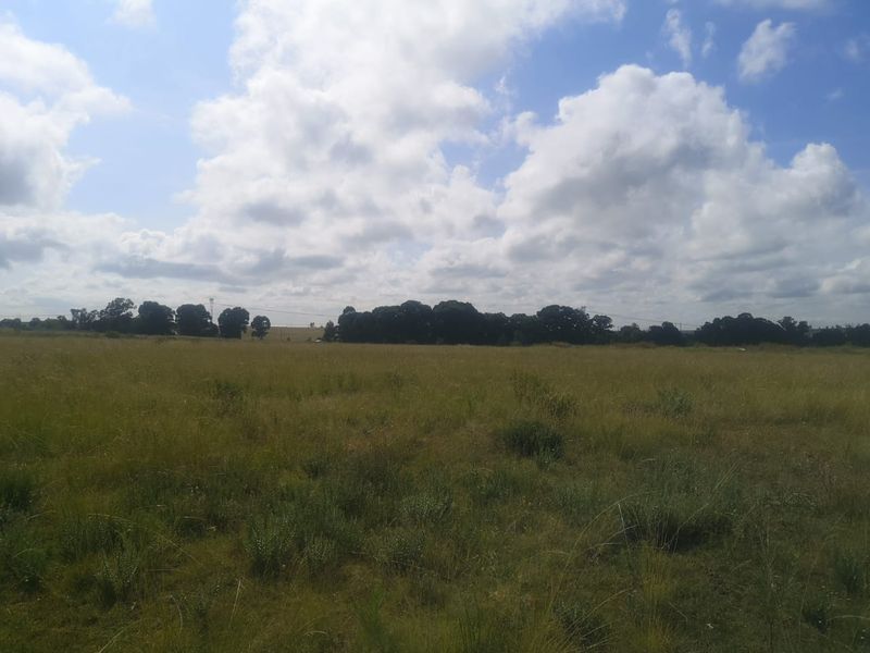 Huge land area for sale outside of Evander!  Ideal for developing or can be used to mine dolorie - Photo 6