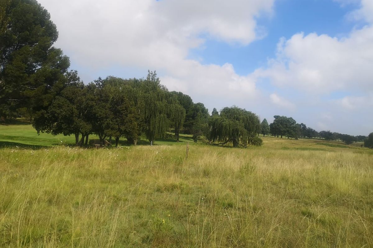 Huge land area for sale outside of Evander!  Ideal for developing or can be used to mine dolorie - Photo 5