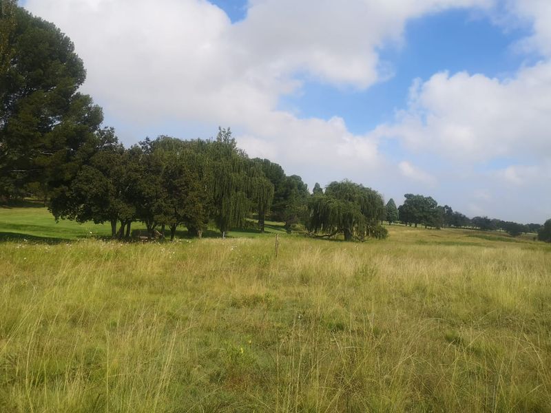 Huge land area for sale outside of Evander!  Ideal for developing or can be used to mine dolorie - Photo 5