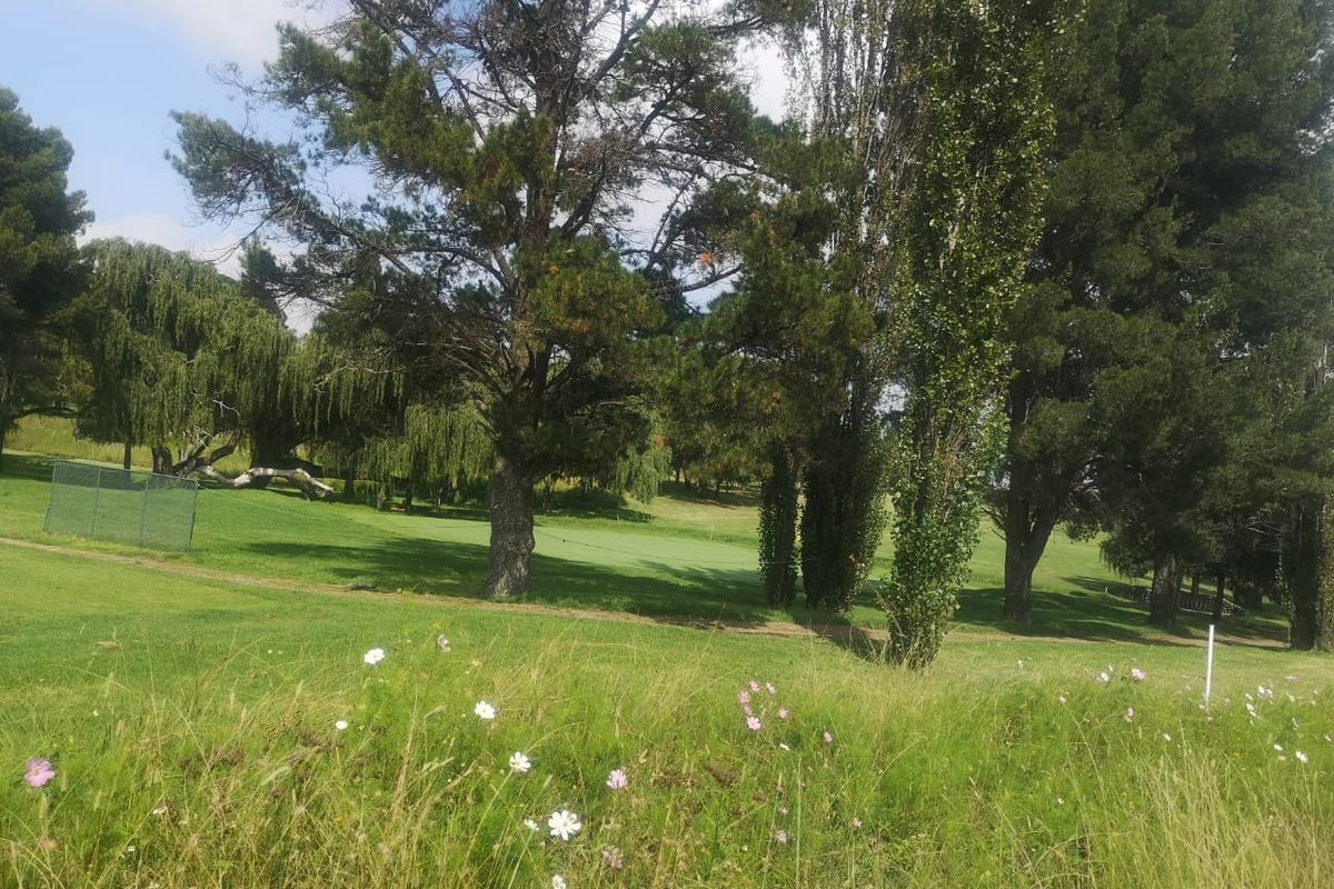 Huge land area for sale outside of Evander!  Ideal for developing or can be used to mine dolorie - Photo 3