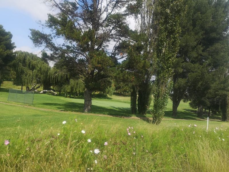 Huge land area for sale outside of Evander!  Ideal for developing or can be used to mine dolorie - Photo 3