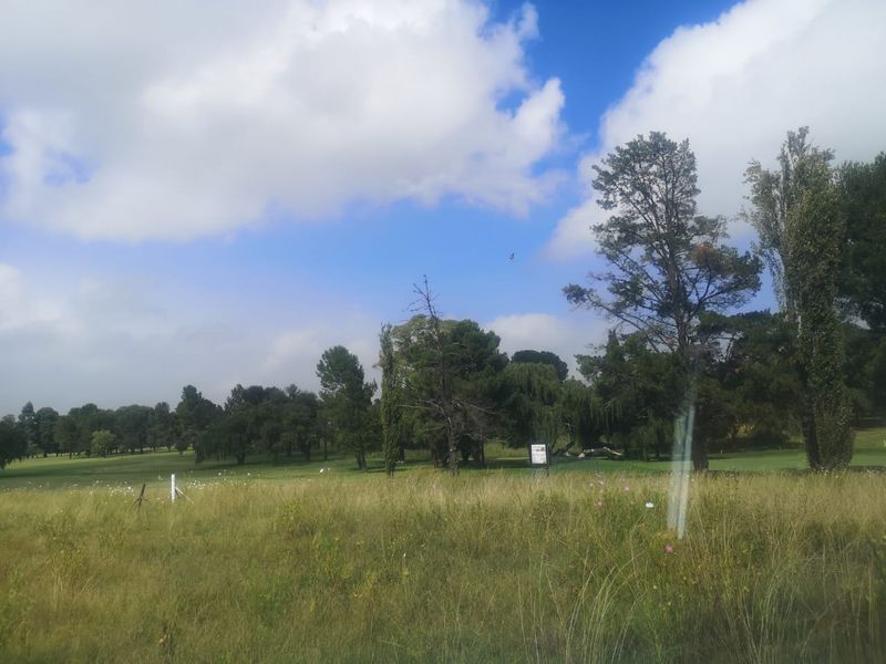 Huge land area for sale outside of Evander!  Ideal for developing or can be used to mine dolorie - Photo 10