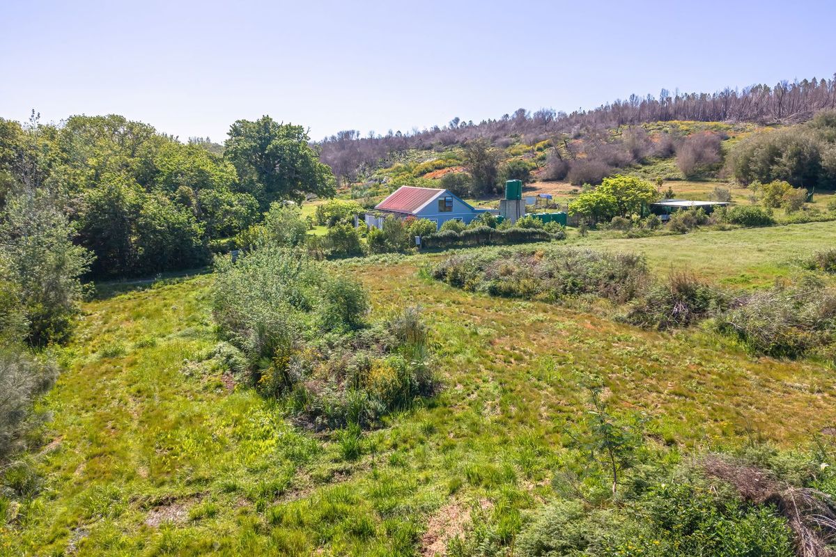 Aerial view of the small holding property featuring open pasture land, established trees, and the main dwelling with a corrugated metal roof.