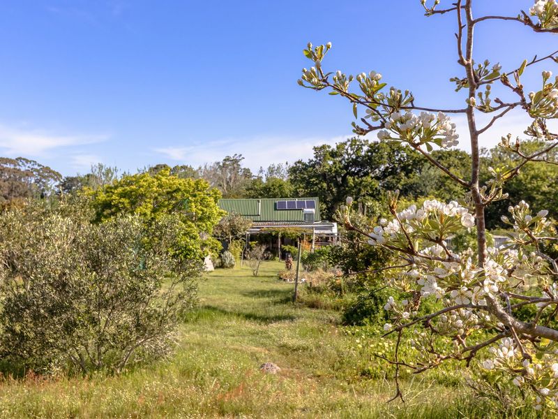 A view of the rear of the property featuring a metal roof with solar panels and a covered patio area set within a garden.