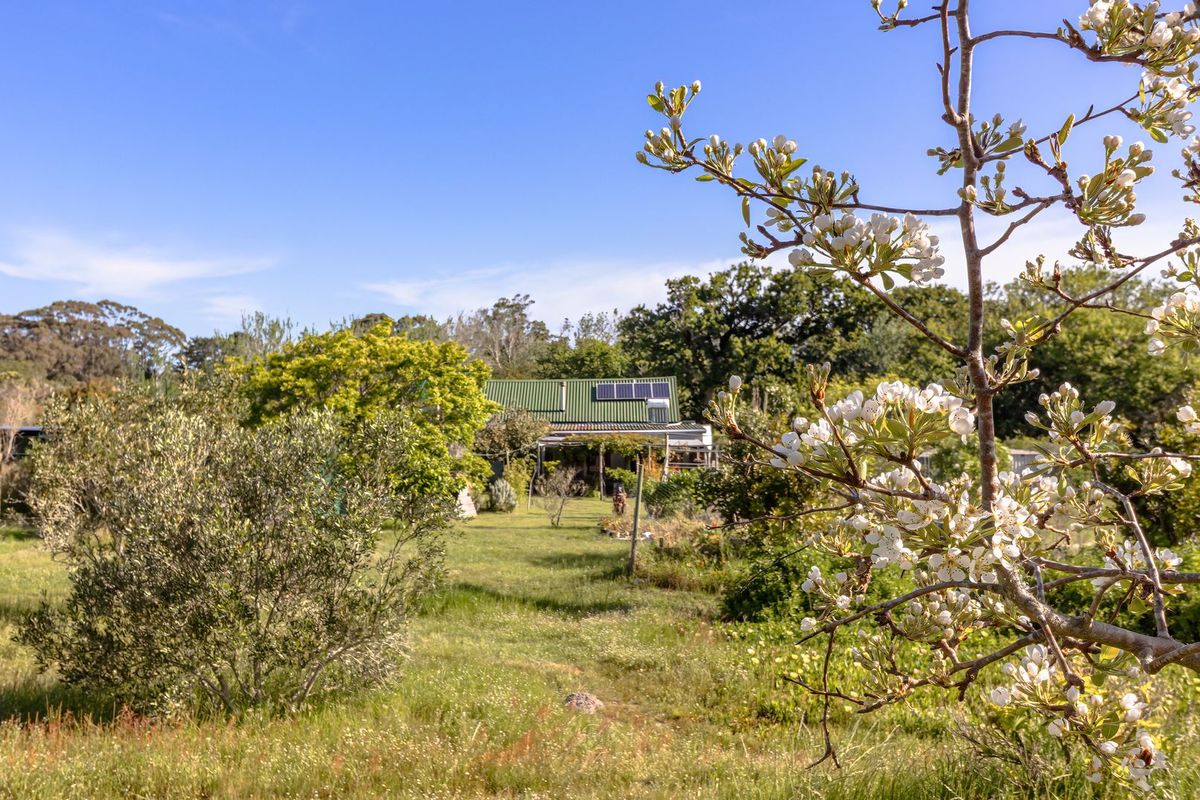 A view of the rear of the property featuring a metal roof with solar panels and a covered patio area set within a garden.