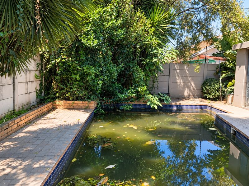 Outdoor pool area featuring brick paving and a boundary wall, currently requiring significant maintenance and cleaning of the pool water and surrounding garden.