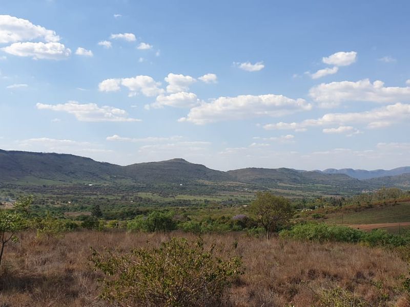 14 Hectare Ultimate Tranquil Farm - Photo 5