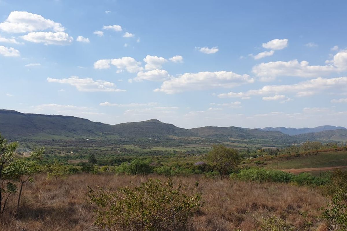 14 Hectare Ultimate Tranquil Farm - Photo 5