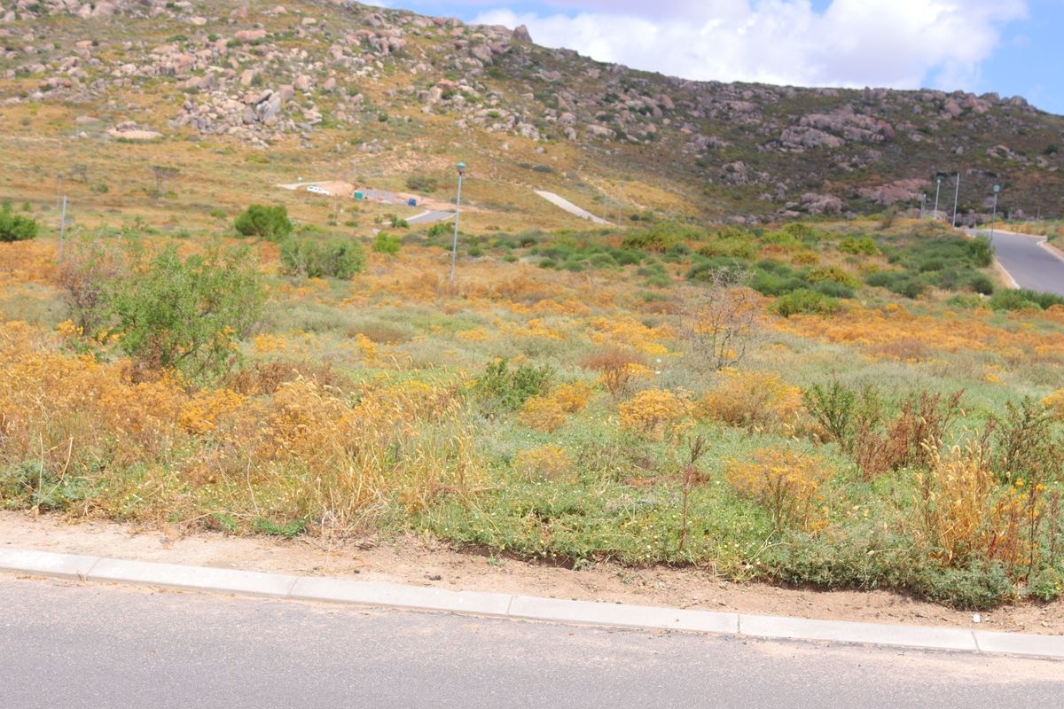 Stunning vacant land for sale in St Helena Views - perfect opportunity to build your dream home! - Photo 4