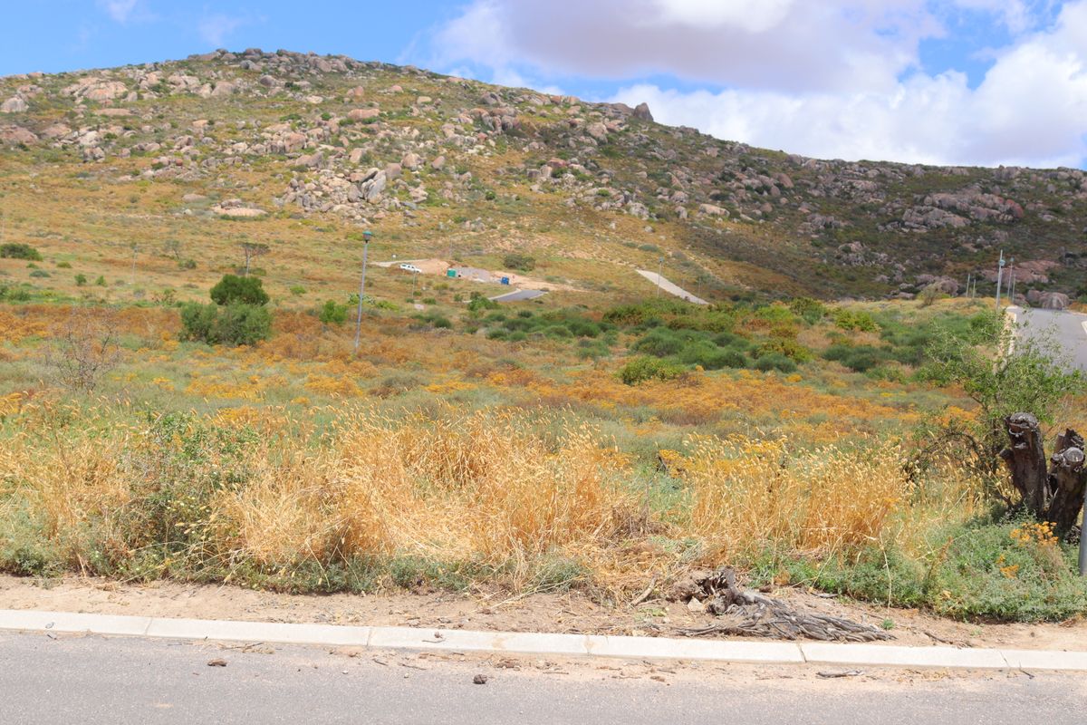 Stunning vacant land for sale in St Helena Views - perfect opportunity to build your dream home! - Photo 5