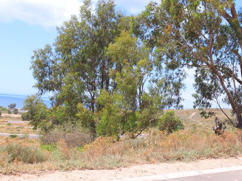 Stunning vacant land for sale in St Helena Views - Photo 8