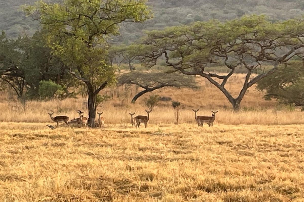 Last Stand Left to Build your Dream Home in Aylestone Private Reserve - Photo 5