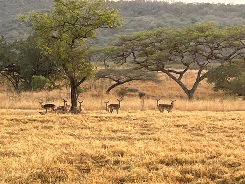 Last Stand Left to Build your Dream Home in Aylestone Private Reserve - Photo 5