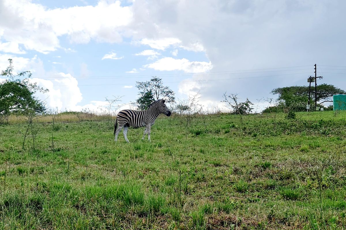 Last Stand Left to Build your Dream Home in Aylestone Private Reserve - Photo 3
