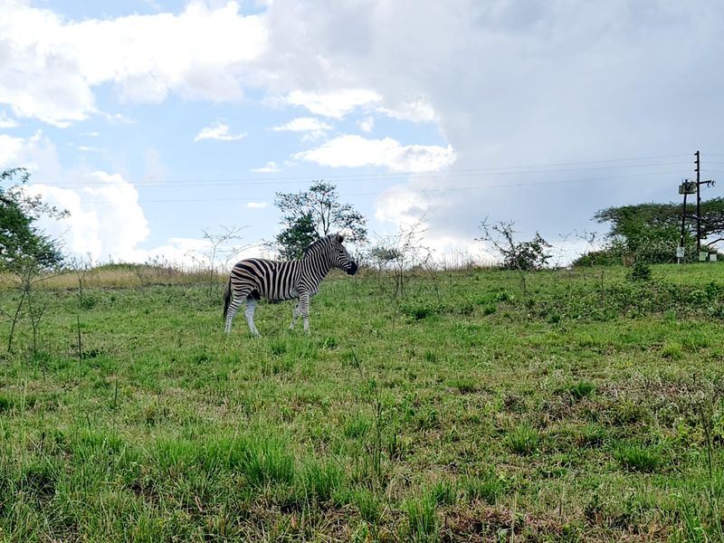 Last Stand Left to Build your Dream Home in Aylestone Private Reserve - Photo 3