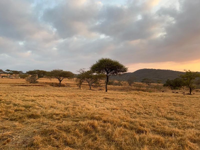 Last Stand Left to Build your Dream Home in Aylestone Private Reserve - Photo 7