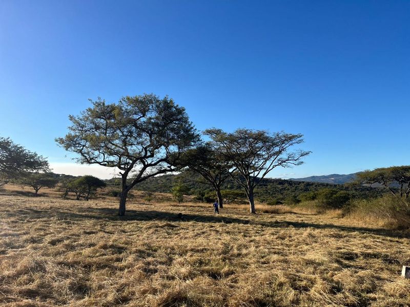 Last Stand Left to Build your Dream Home in Aylestone Private Reserve - Photo 10