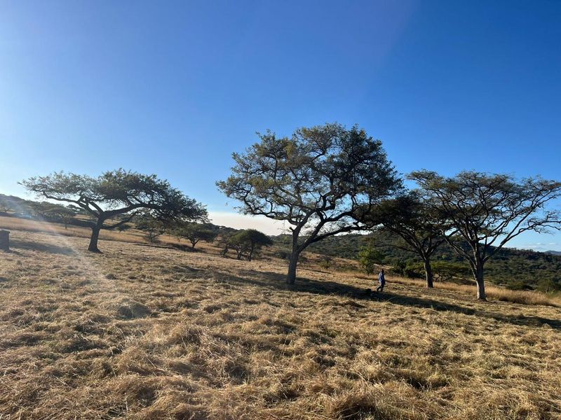 Last Stand Left to Build your Dream Home in Aylestone Private Reserve - Photo 9