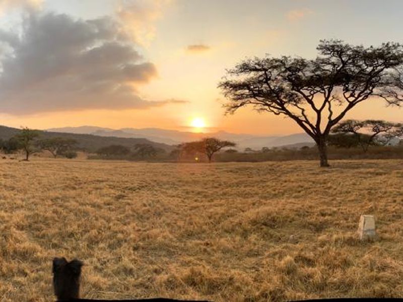 Last Stand Left to Build your Dream Home in Aylestone Private Reserve - Photo 6