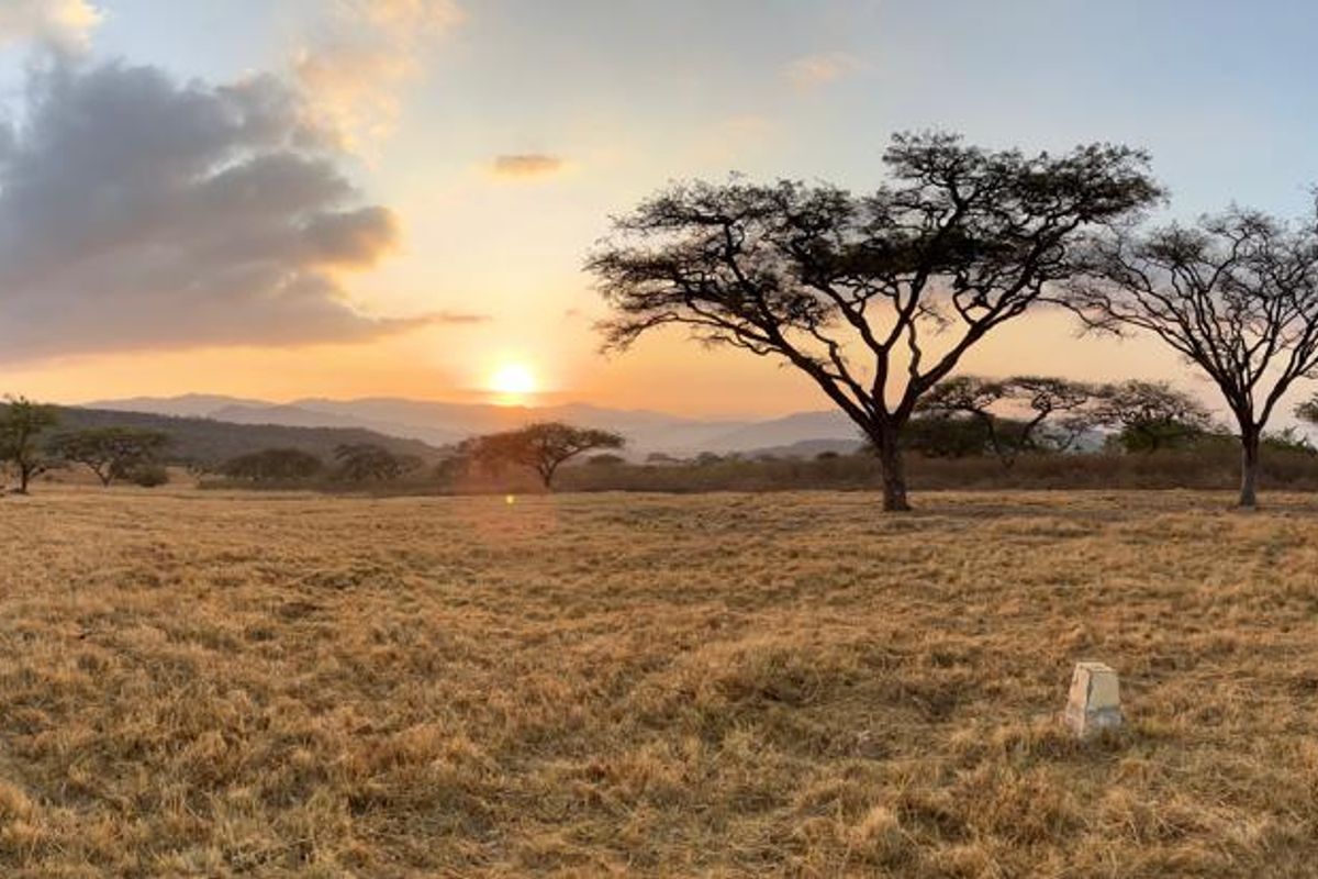 Last Stand Left to Build your Dream Home in Aylestone Private Reserve - Photo 4