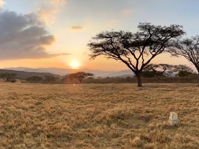 Last Stand Left to Build your Dream Home in Aylestone Private Reserve - Photo 4