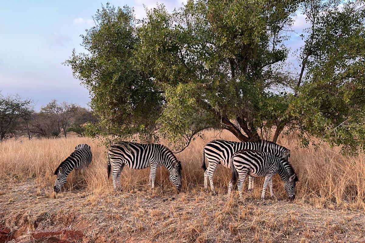 Last Stand Left to Build your Dream Home in Aylestone Private Reserve - Photo 2