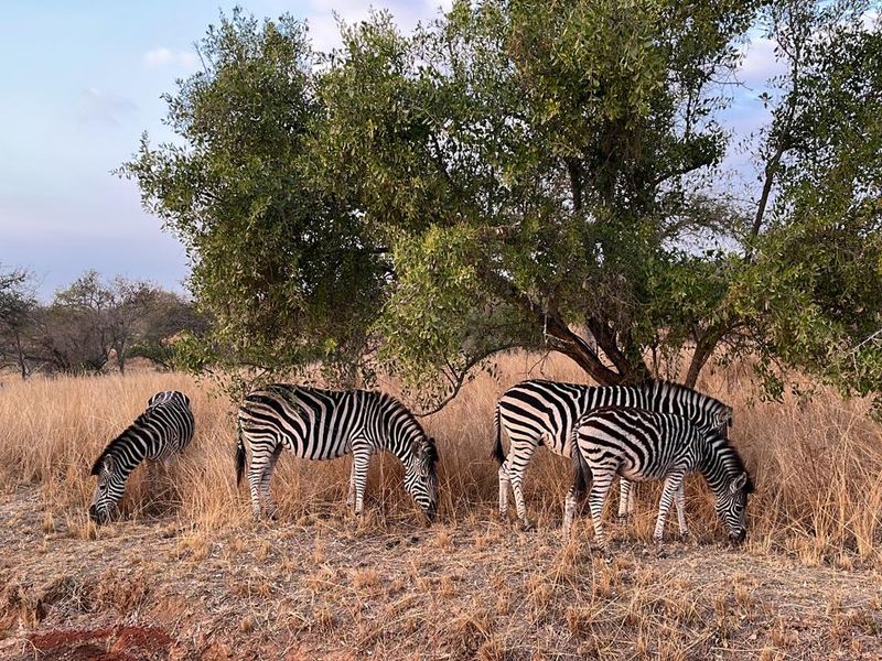 Last Stand Left to Build your Dream Home in Aylestone Private Reserve - Photo 2