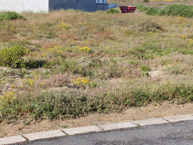 vacant land for sale in Britannia Beach Estate, St Helena Bay - Photo 8