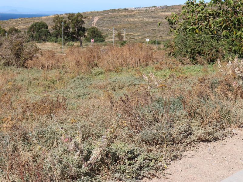 Very nice sea view - Photo 6