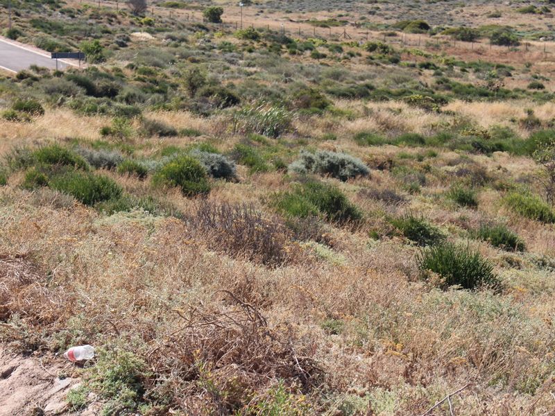 Very nice sea view - Photo 5