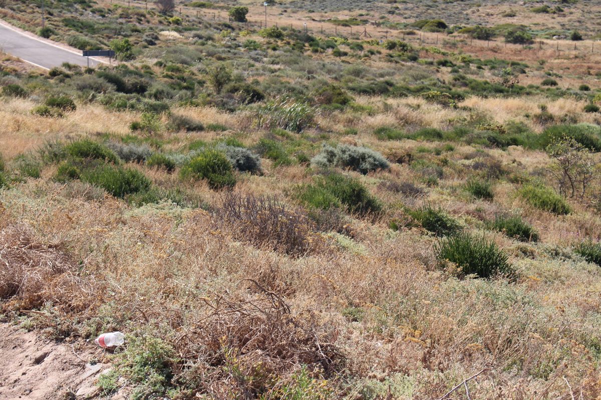 Very nice sea view - Photo 5