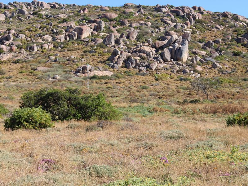 Very nice sea view - Photo 4