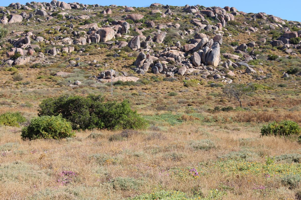 Very nice sea view - Photo 4