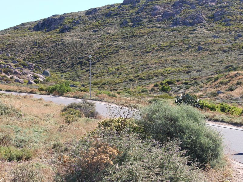 Very nice sea view - Photo 7