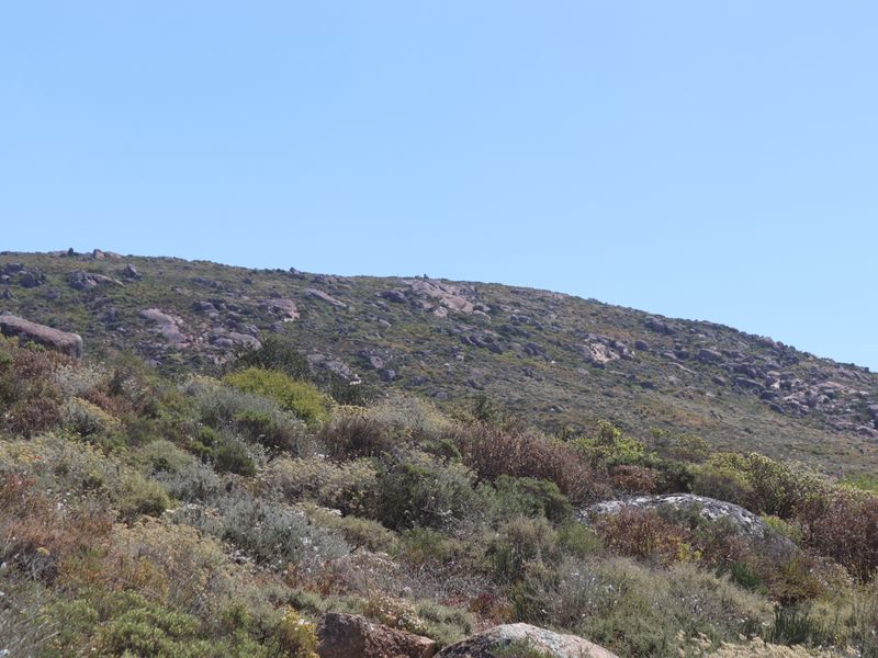 "Prime 405m2 vacant land with stunning ocean views, perfect for building your dream home. - Photo 10