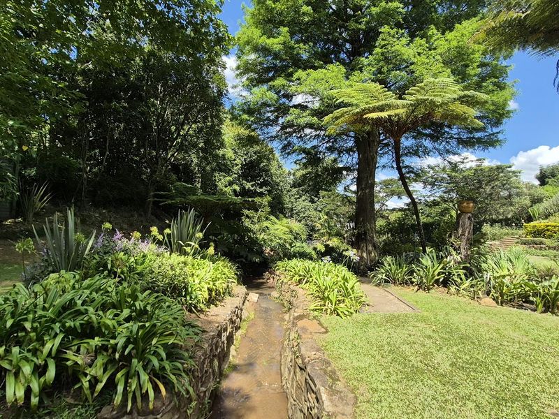Sanctuary in Oak Park - Photo 9