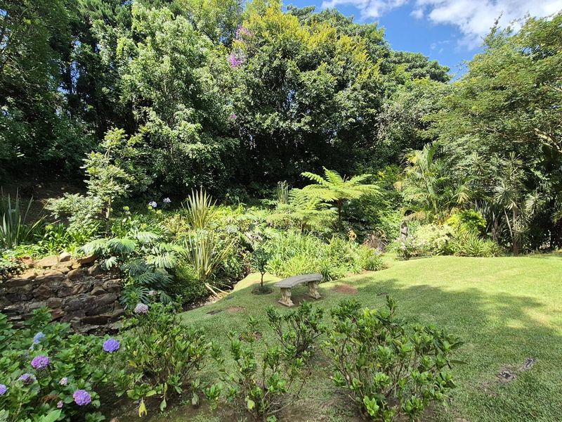 Sanctuary in Oak Park - Photo 6