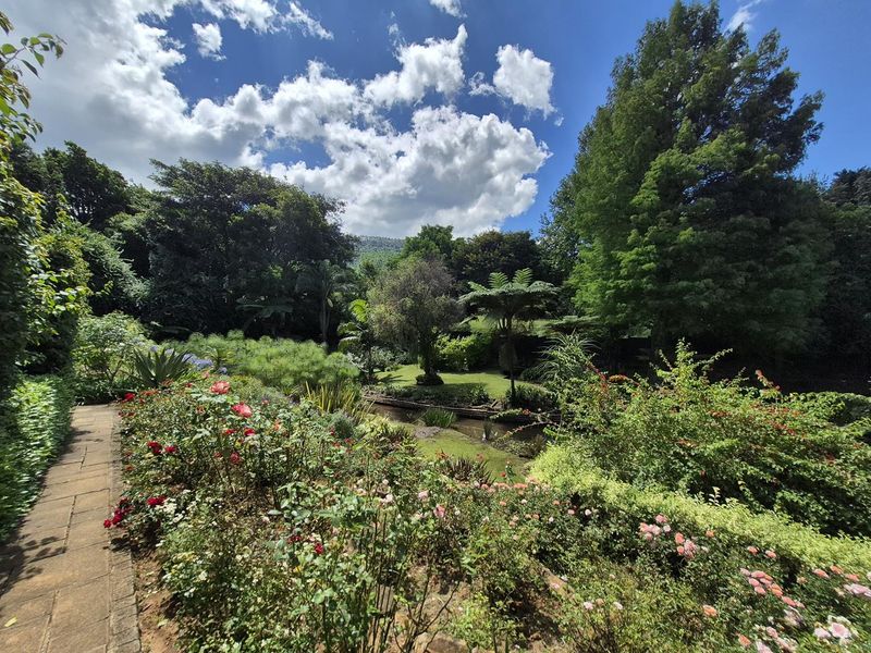 Sanctuary in Oak Park - Photo 3