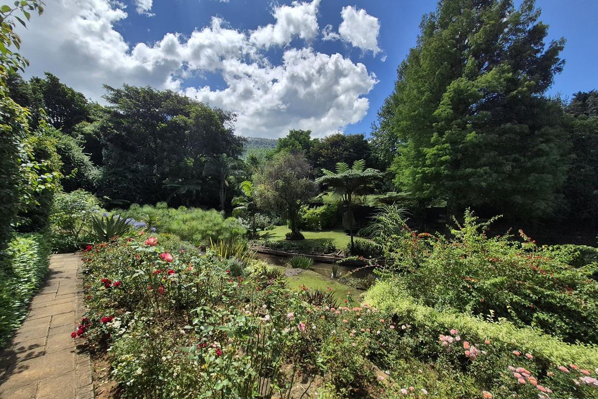 Sanctuary in Oak Park - Photo 3