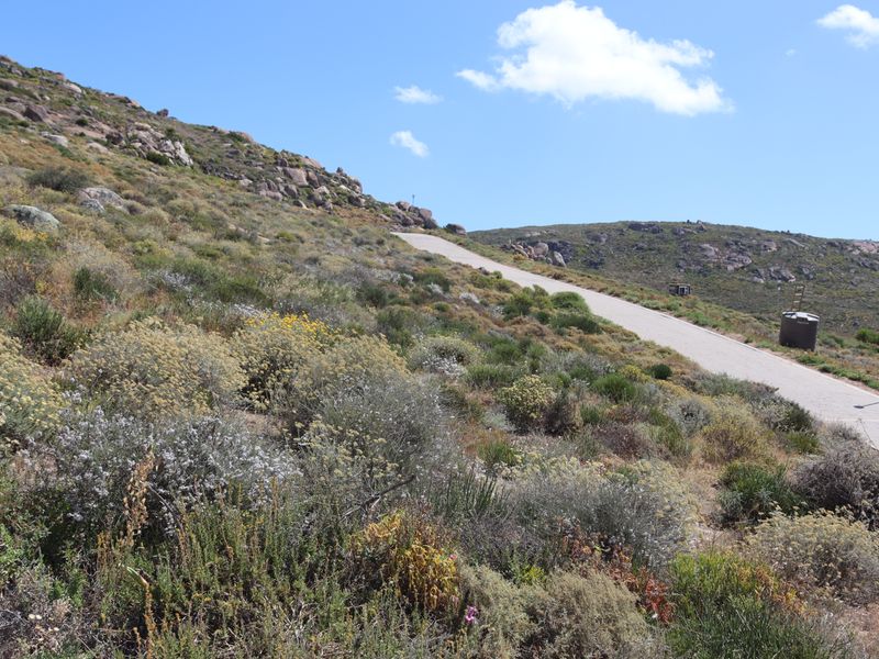 Vacant land with views to the ocean and the mountains - Photo 7
