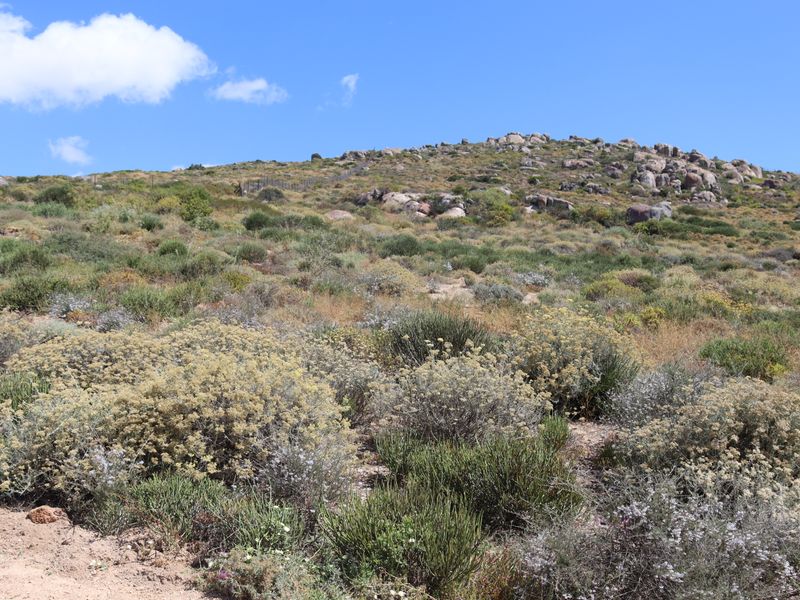 Vacant land with views to the ocean and the mountains - Photo 6