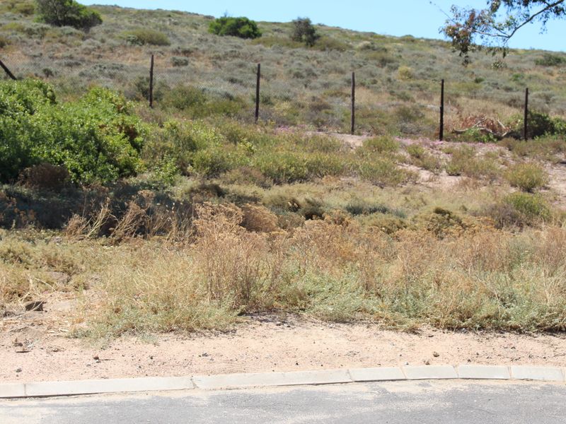 Very nice sea view - Photo 6