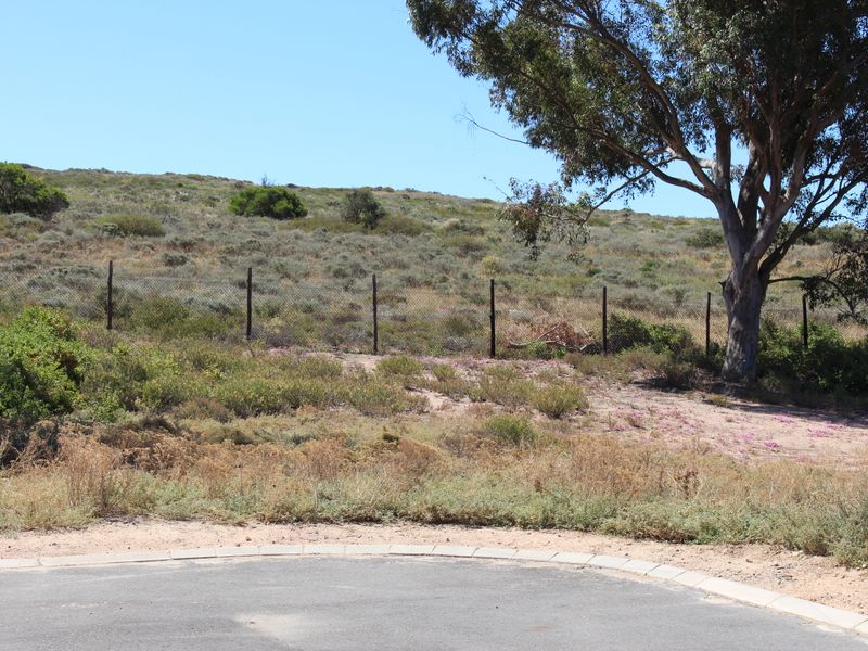 Very nice sea view - Photo 4