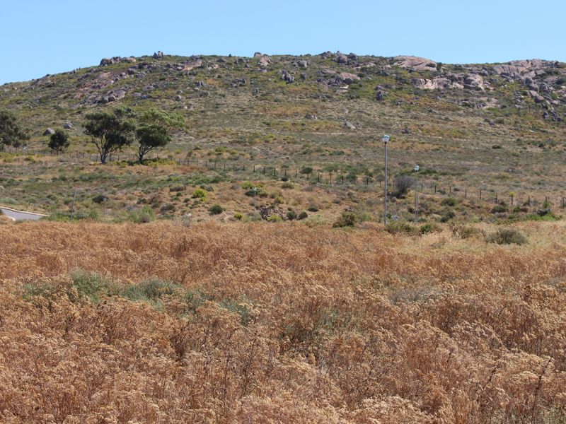 Very nice sea view - Photo 5