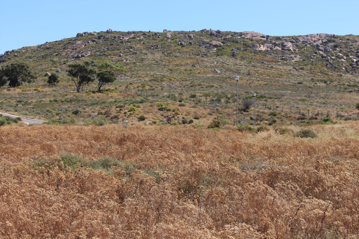 Very nice sea view - Photo 5