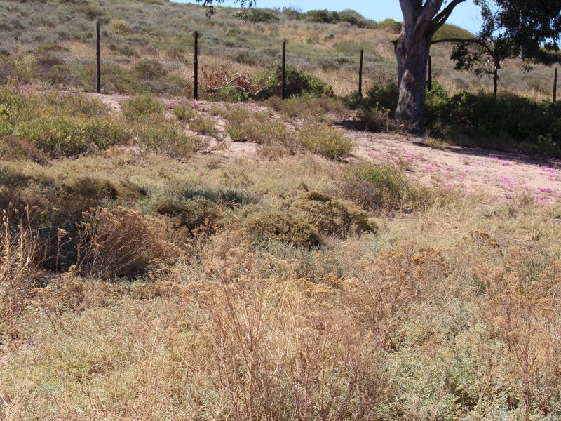 Very nice sea view - Photo 7